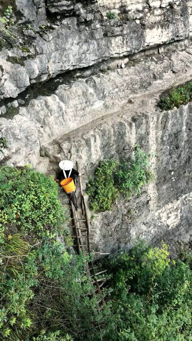 Trail gallery 2