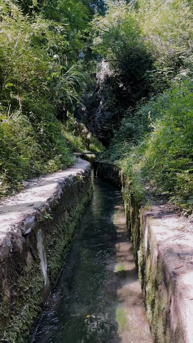 Trail gallery 6