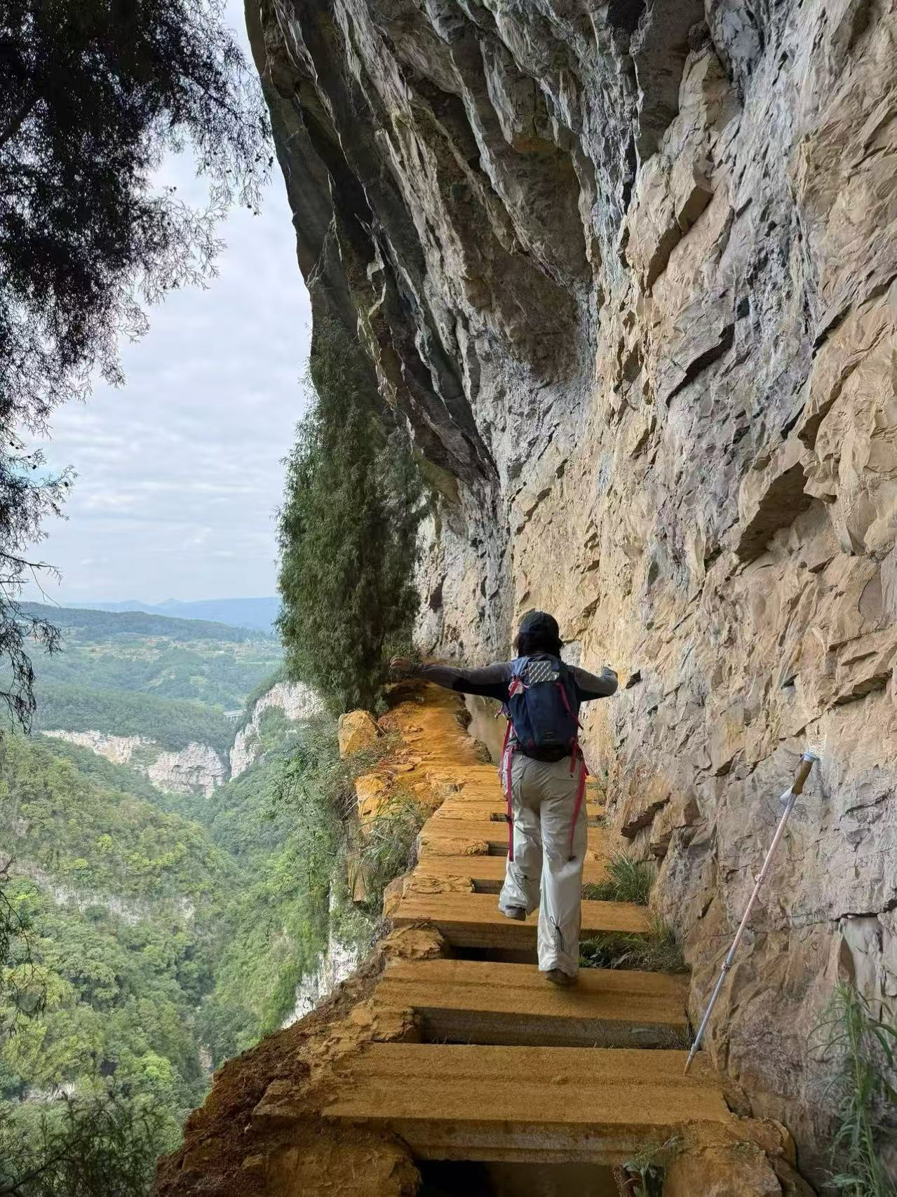 Cliff trail above a forested valley