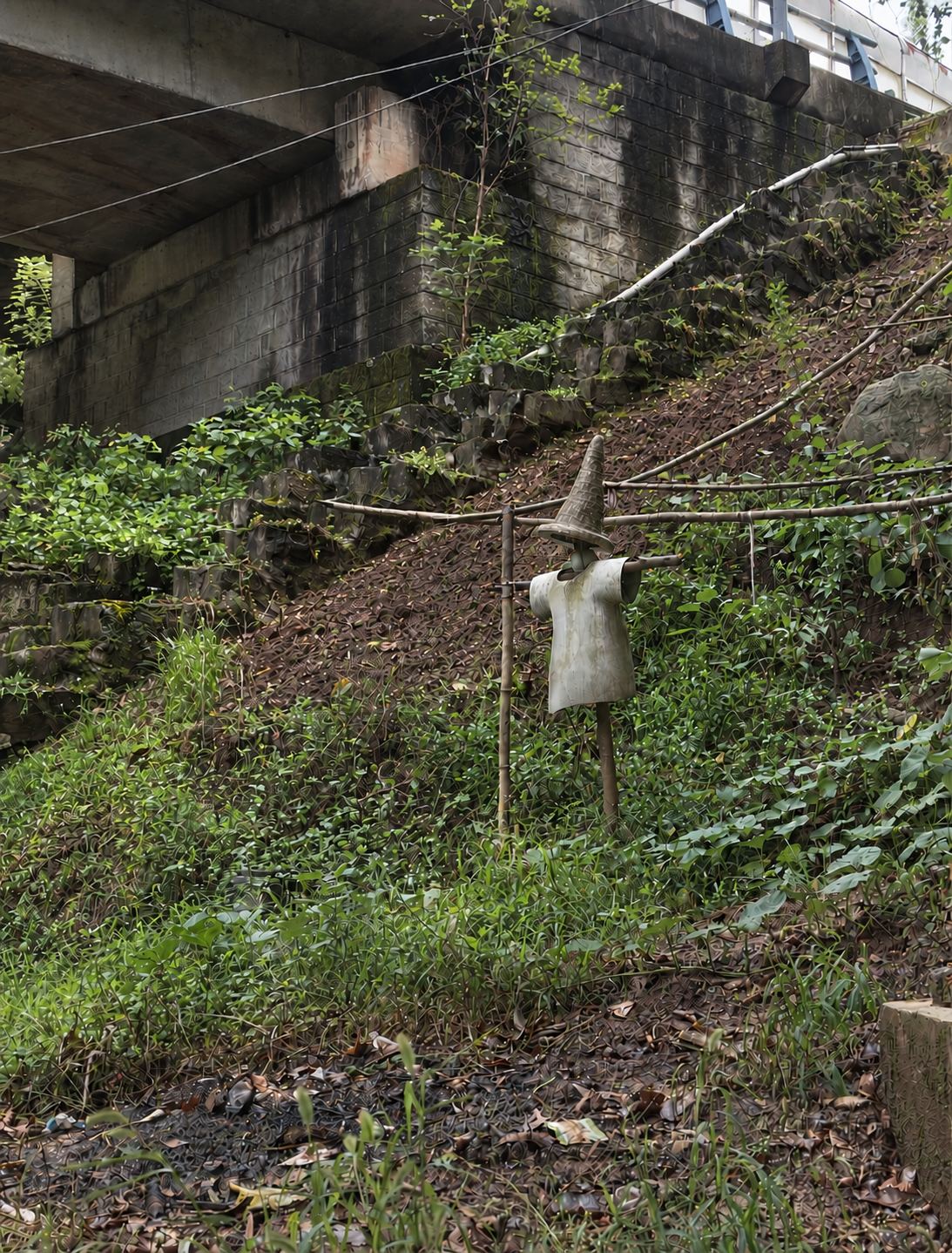 Urban climbing route photo 7